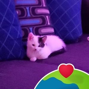 Meet your Posher, Nancy